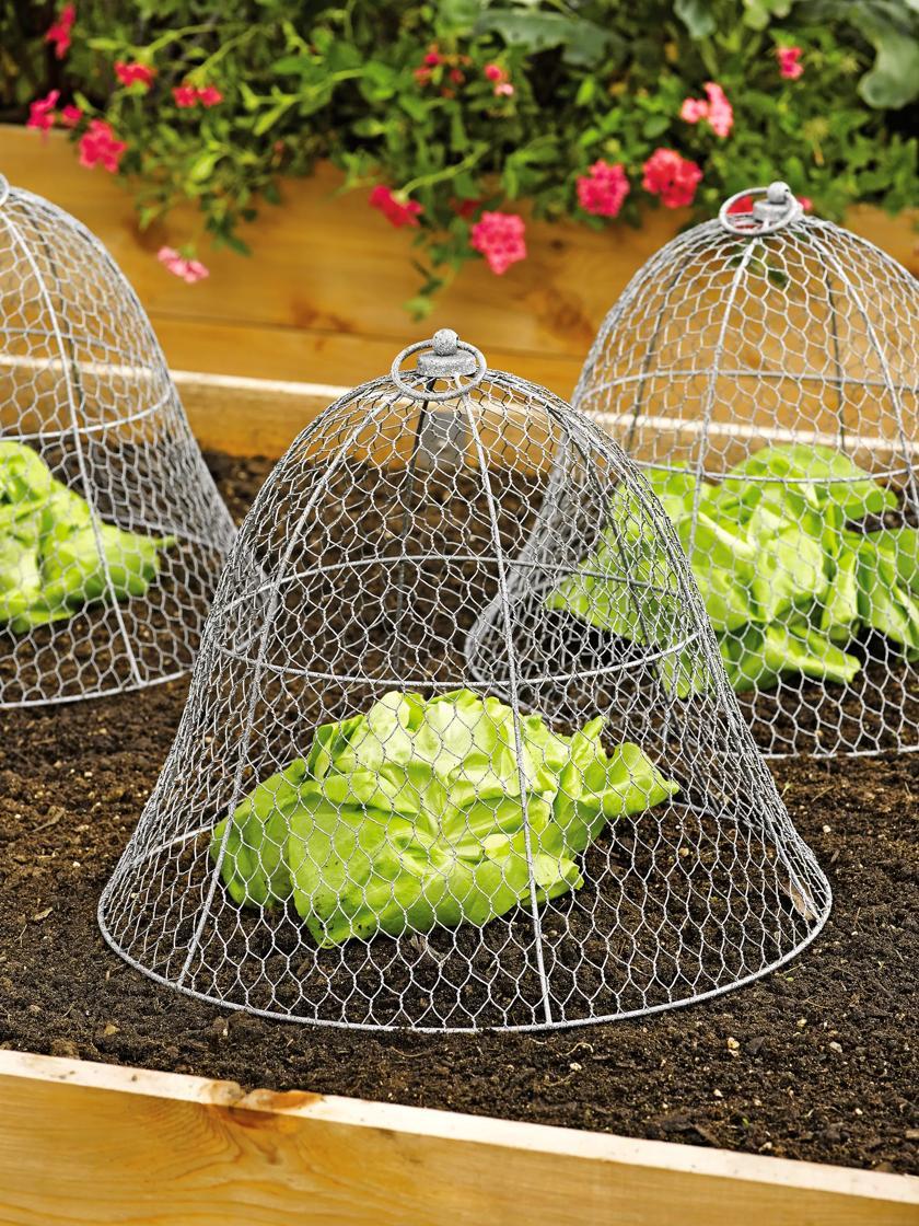 Animal Controls |   Chicken Wire Cloche, Set of 3 GARDEN SUPPLIES Animal Controls