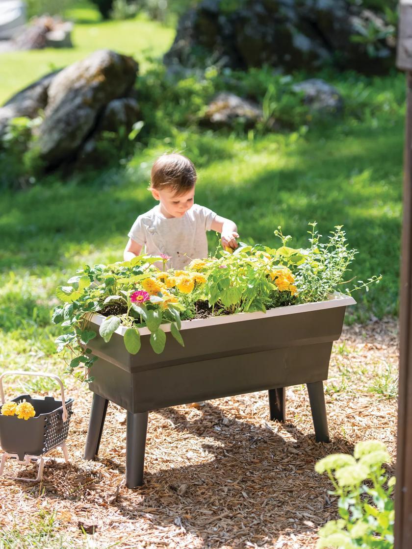 Elevated Planters |   Calipso 3-in-1 Kids Gardening Self-Watering Planter Kit Elevated Planters Elevated Planters