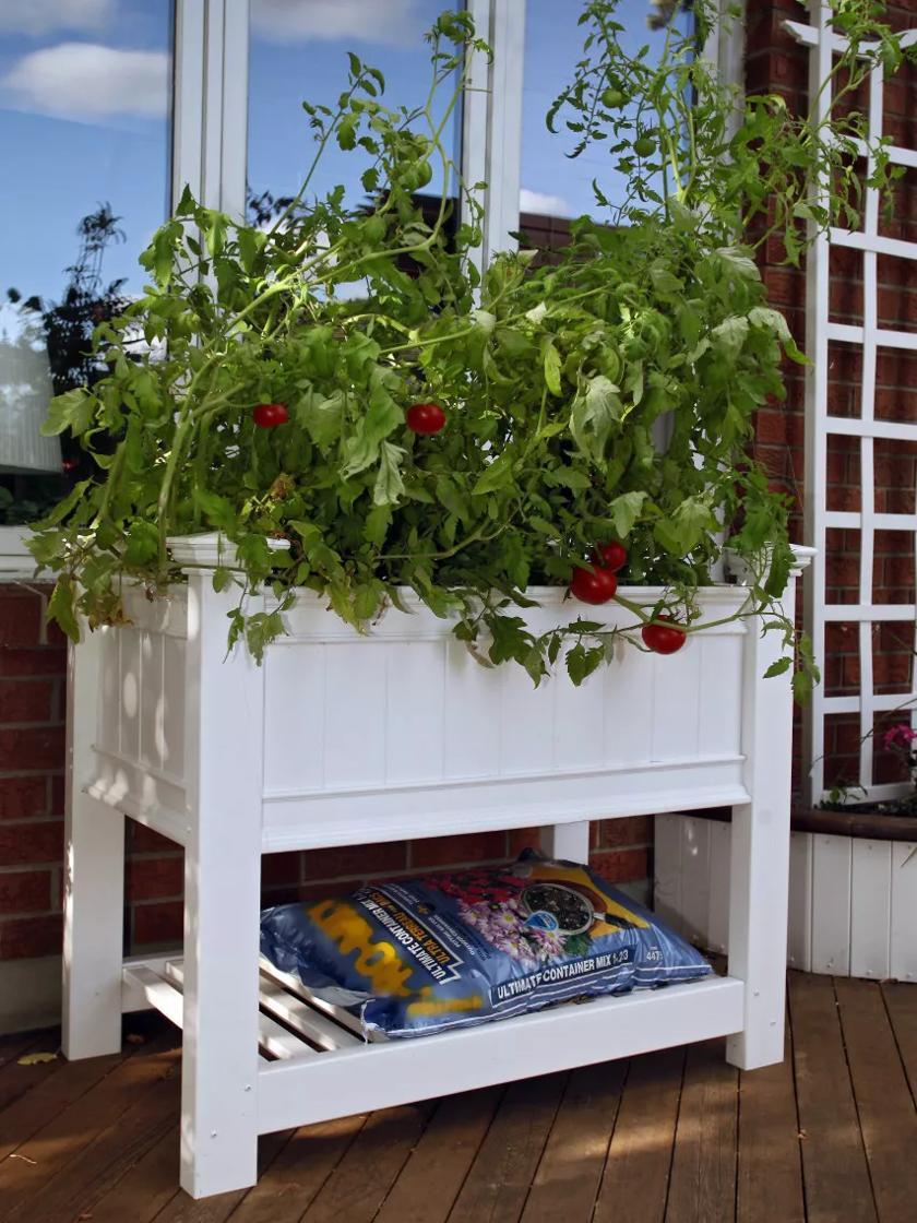 Elevated Planters |   Cambridge Elevated Planter Elevated Planters Elevated Planters