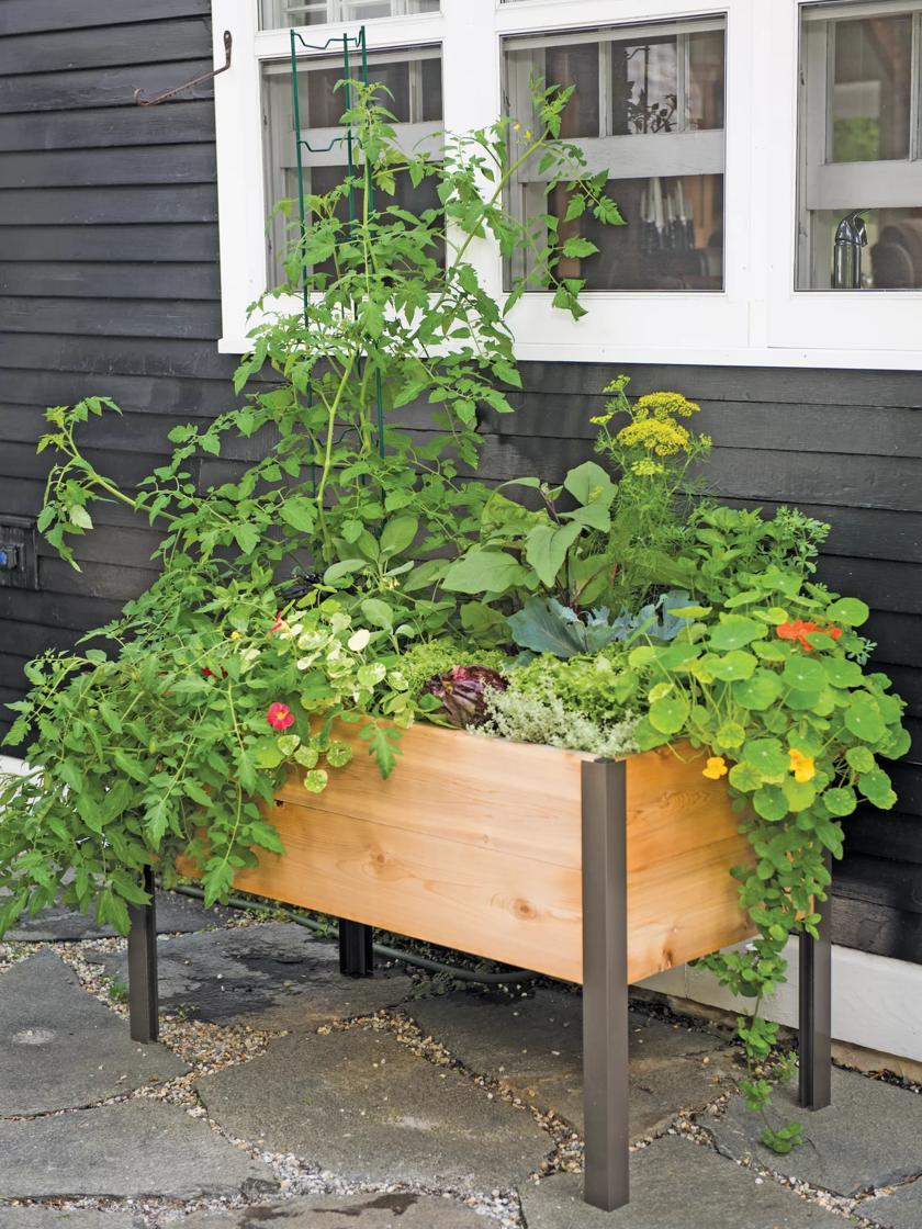 Elevated Planters |   Elevated Cedar Planter Box, 2′ x 4′ Elevated Planters Elevated Planters