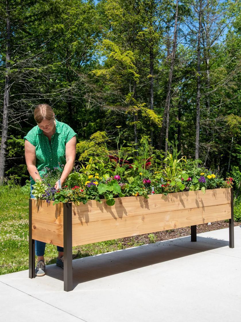 Elevated Planters |   Elevated Cedar Planter Box, 2′ x 8′ PLANTERS & RAISED BEDS Elevated Planters