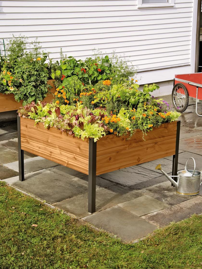 Elevated Planters |   Elevated Cedar Planter Box, 4′ x 4′ Elevated Planters Elevated Planters