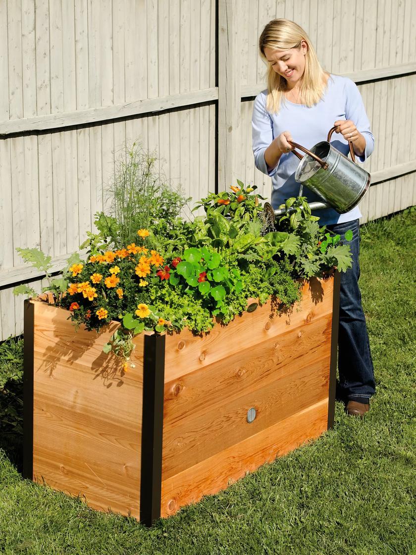 Elevated Planters |   Elevated Cedar Raised Bed, 2′ x 4′ Elevated Planters Elevated Planters