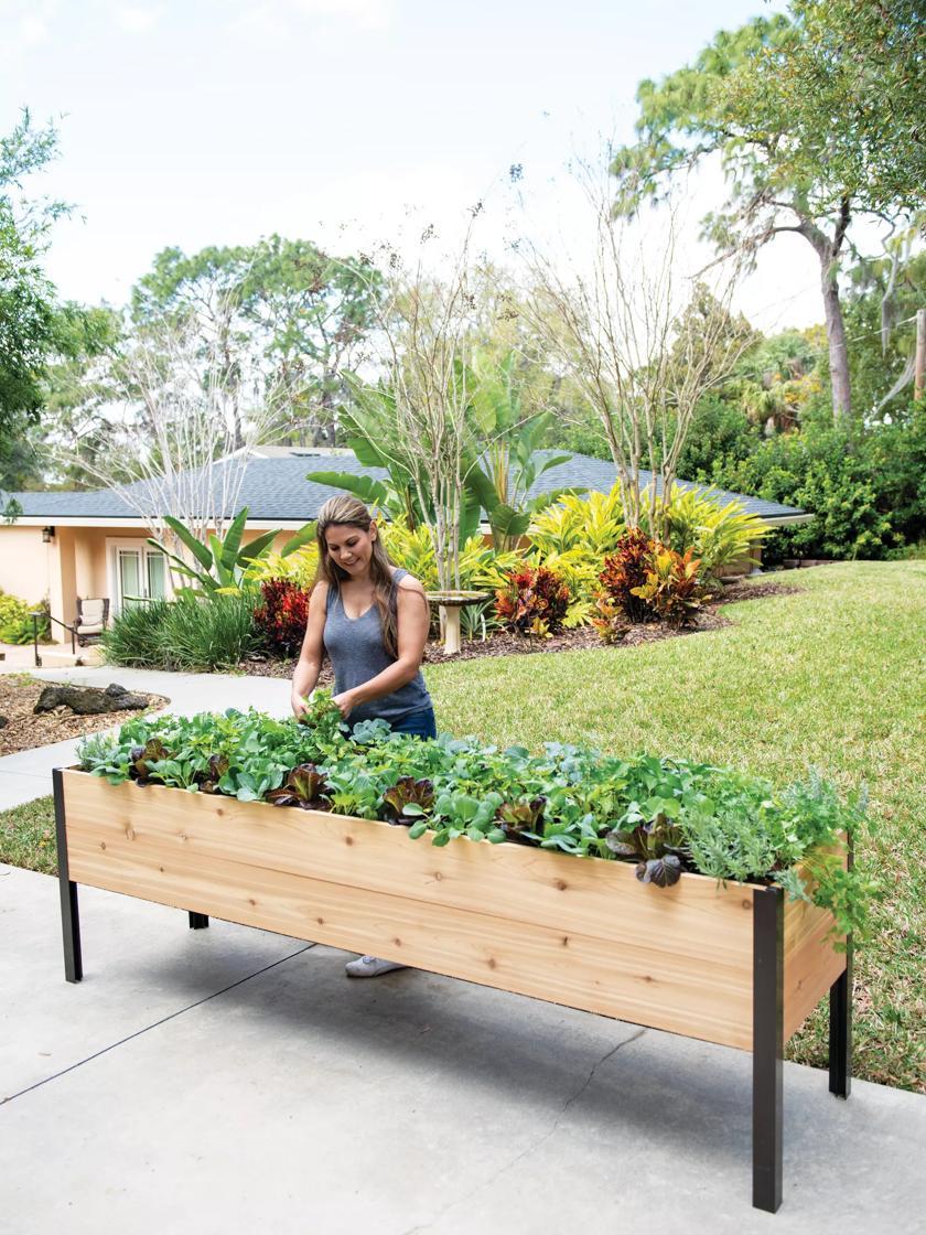 Elevated Planters |   Self-Watering Elevated Cedar Planter Box, 2 x 8 Elevated Planters Elevated Planters