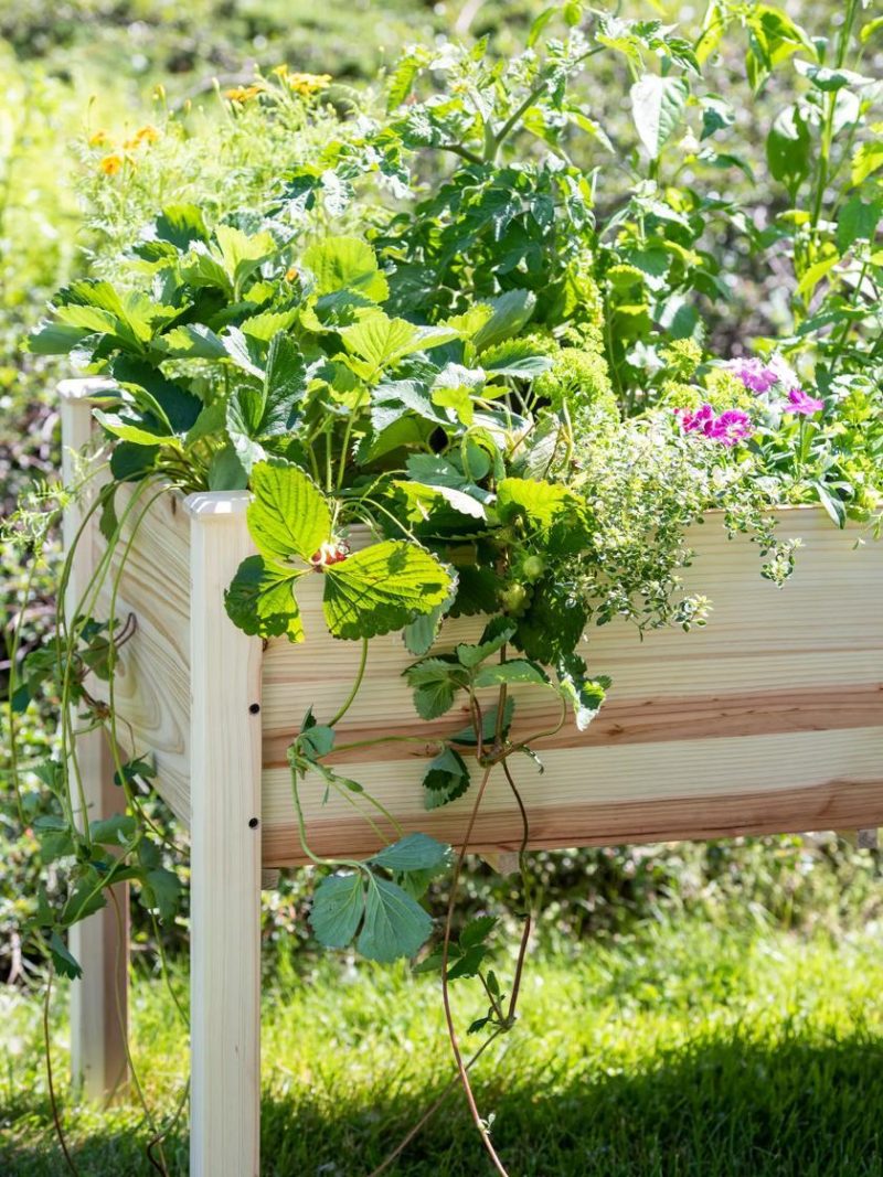 Elevated Planters |   Standing Garden Bed Elevated Planters Elevated Planters