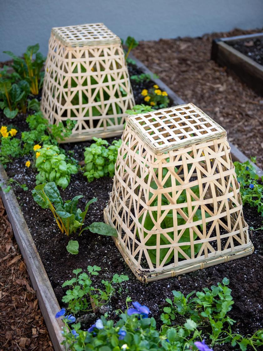 Fences & Barriers |   Bamboo Cloche, Set of 2 GARDEN SUPPLIES Fences & Barriers