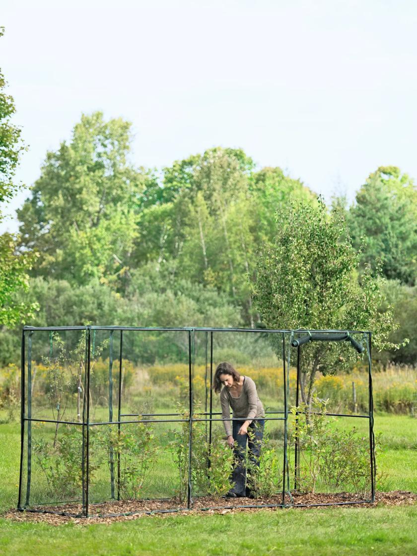 Fences & Barriers |   Crop Cage, 4′ x 12′ Fences & Barriers Fences & Barriers