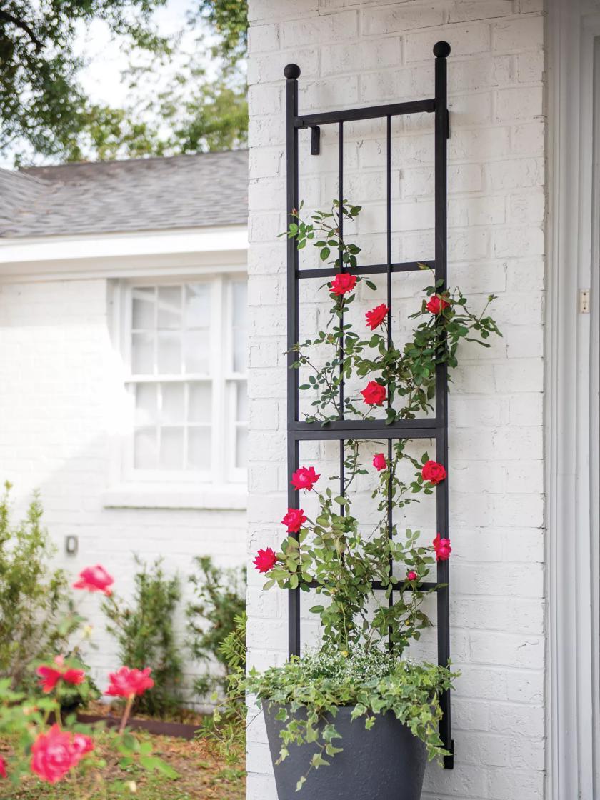 Flower Supports & Trellises |   Essex Wall Trellis Flower Supports & Trellises Flower Supports & Trellises