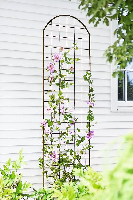 Flower Supports & Trellises |   Jardin Flower Trellis Flower Supports & Trellises Flower Supports & Trellises