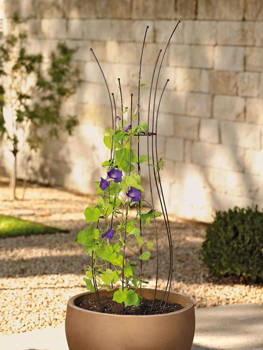 Flower Supports & Trellises |   Jardin Pot Trellis Flower Supports & Trellises Flower Supports & Trellises