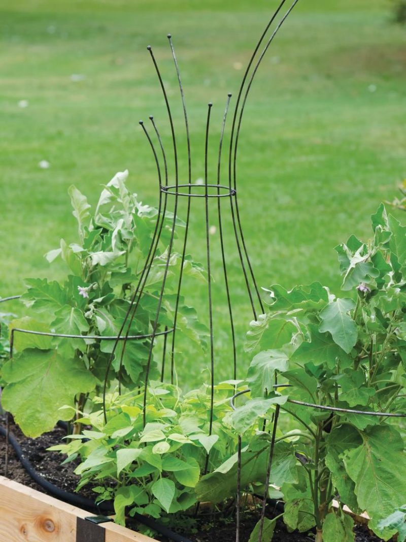 Flower Supports & Trellises |   Jardin Pot Trellis Flower Supports & Trellises Flower Supports & Trellises