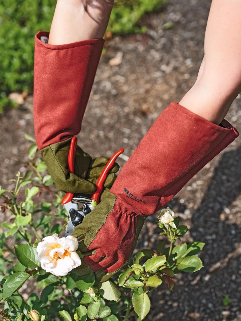 Gloves & Footwear |   Rose Gloves GARDEN SUPPLIES Gloves & Footwear