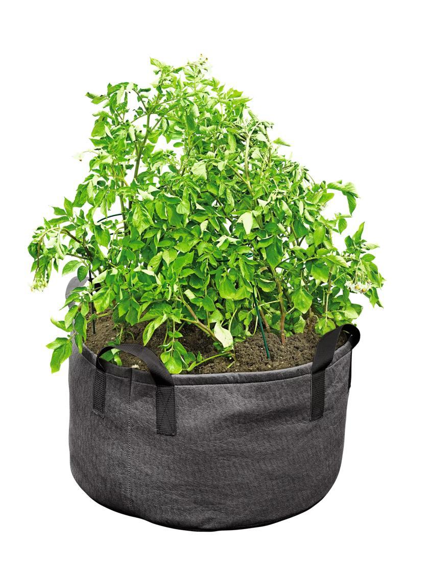 Grow Bags |   Gardener’s Best® Jumbo Potato Grow Bag Grow Bags Grow Bags