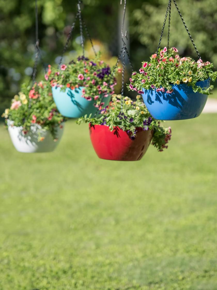 Hanging Planters |   Viva Self-Watering Hanging Basket, 14″ Diameter Hanging Planters Hanging Planters