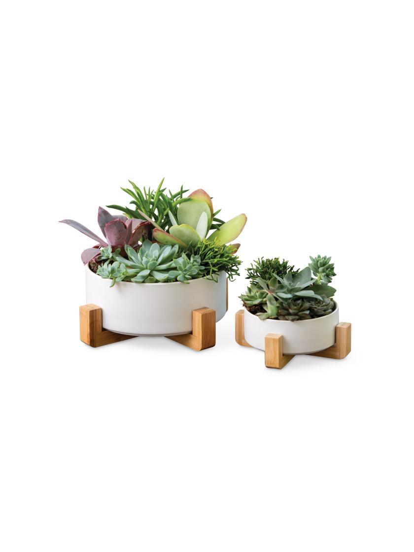 Indoor Pots & Planters |   Ceramic Pot with Bamboo Stand, Set of 2 Indoor Pots & Planters Indoor Pots & Planters