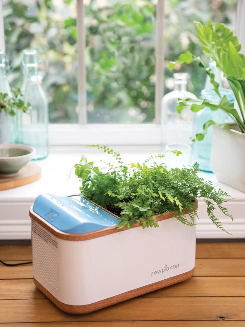 Indoor Pots & Planters |   Dewplanter Indoor Pots & Planters Indoor Pots & Planters