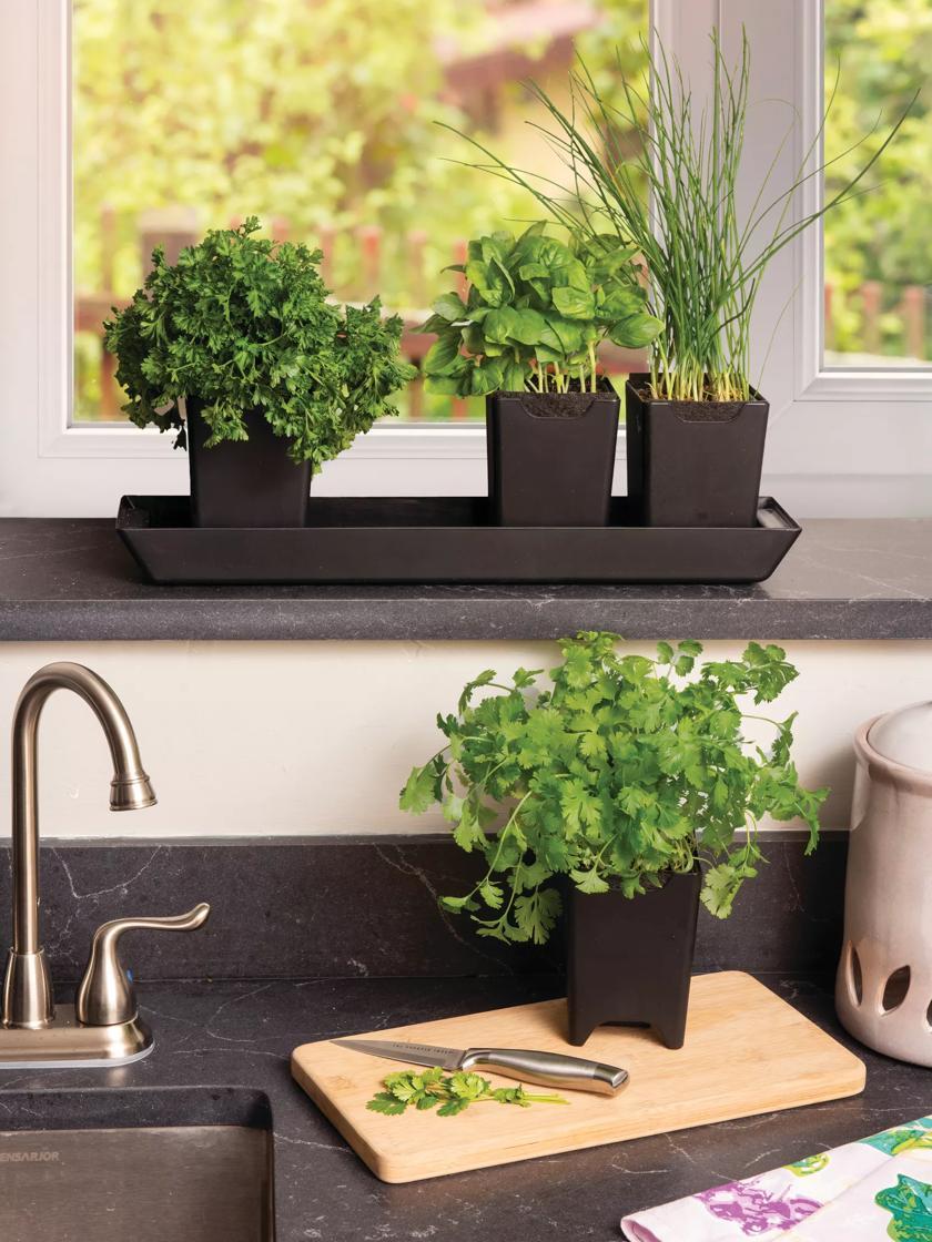 Indoor Pots & Planters |   Pop-Out Pots, Set of 4 Indoor Pots & Planters Indoor Pots & Planters