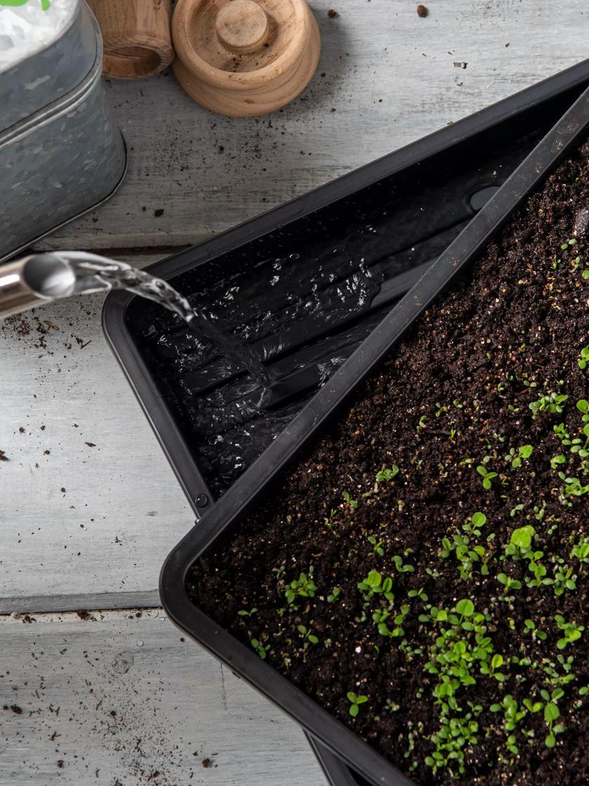 Microgreens |   Microgreens Reservoir Tray, Set of 5 GARDEN SUPPLIES Microgreens