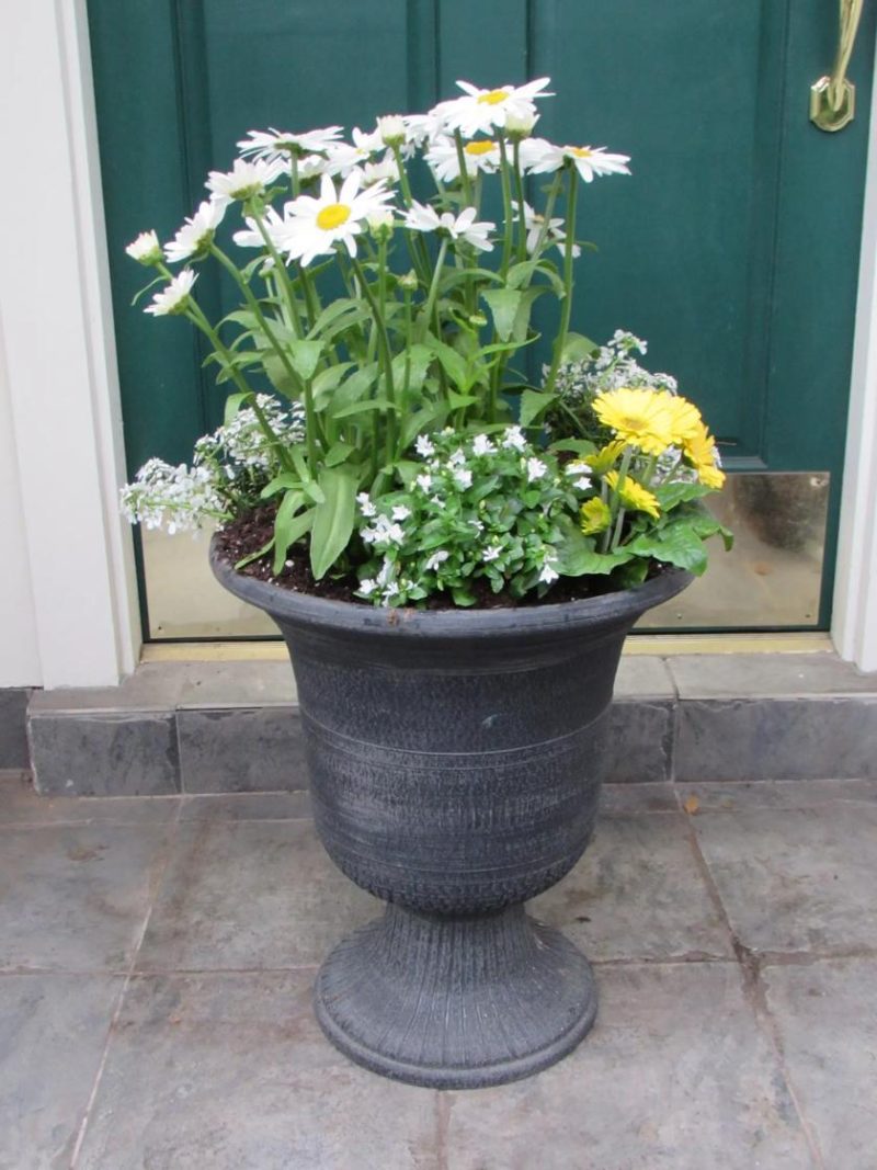 Patio Planters |   Exaco Trading Classic Modena Urn Patio Planters Patio Planters