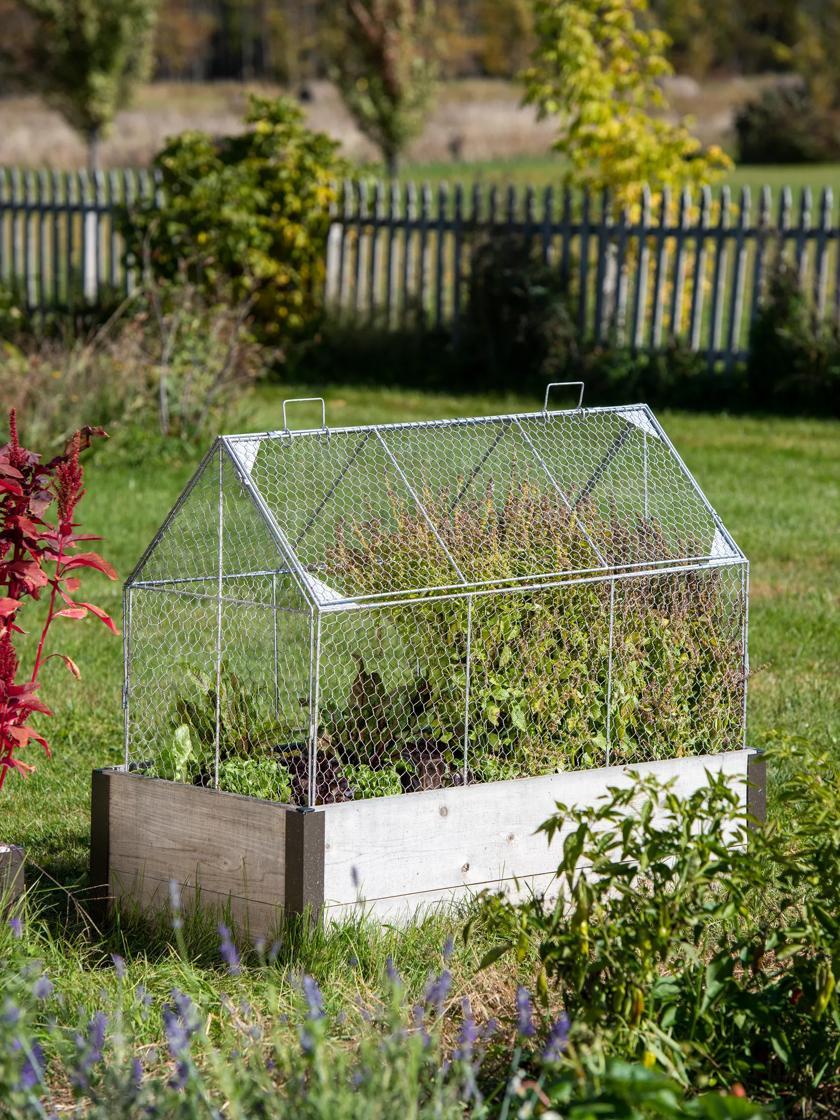 Plant Protectors & Row Covers |   Chicken Wire Crop Coop GARDEN SUPPLIES Plant Protectors & Row Covers