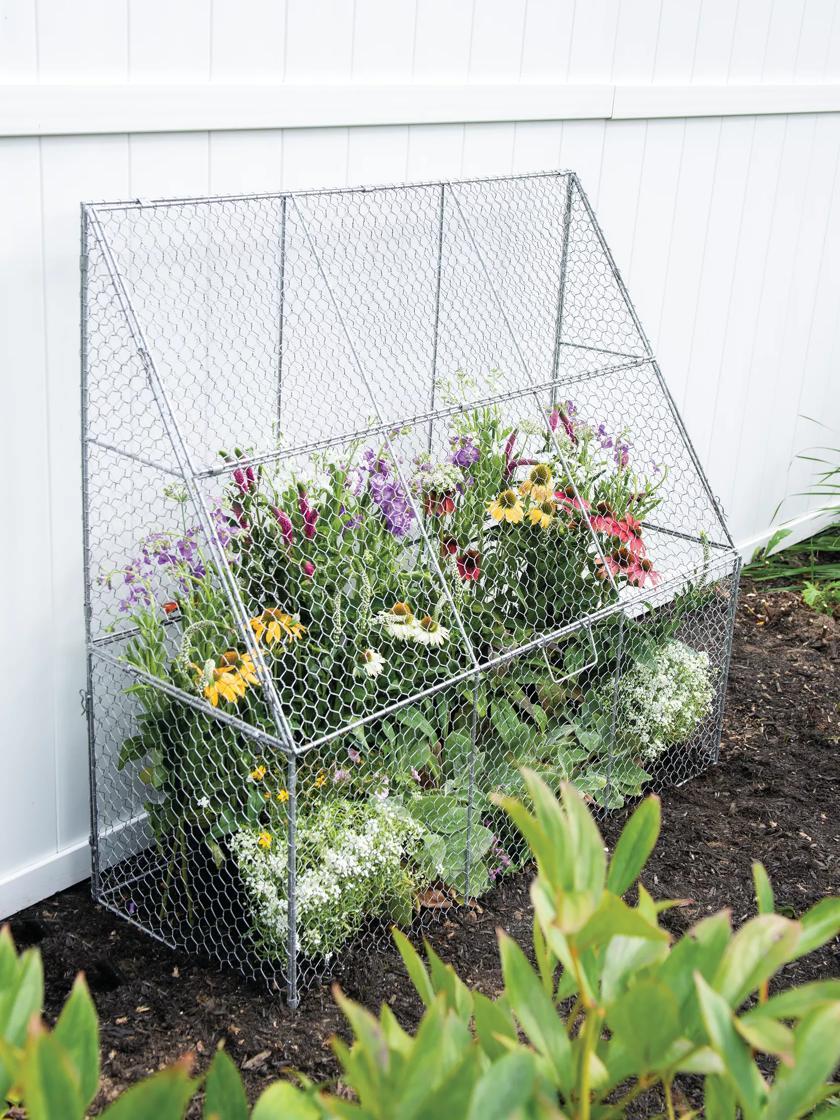 Plant Protectors & Row Covers |   Chicken Wire Flat Back Crop Coop GARDEN SUPPLIES Plant Protectors & Row Covers