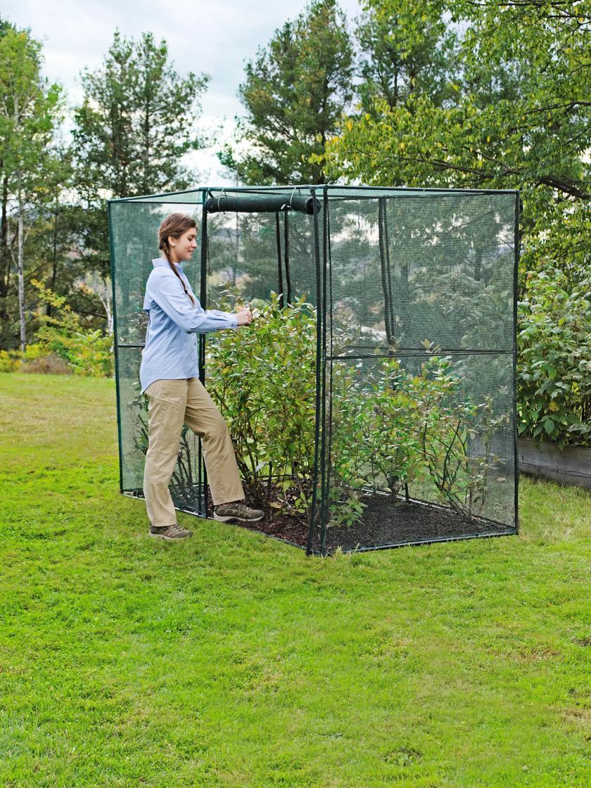 Plant Protectors & Row Covers |   Crop Cage, 4′ x 8′ GARDEN SUPPLIES Plant Protectors & Row Covers