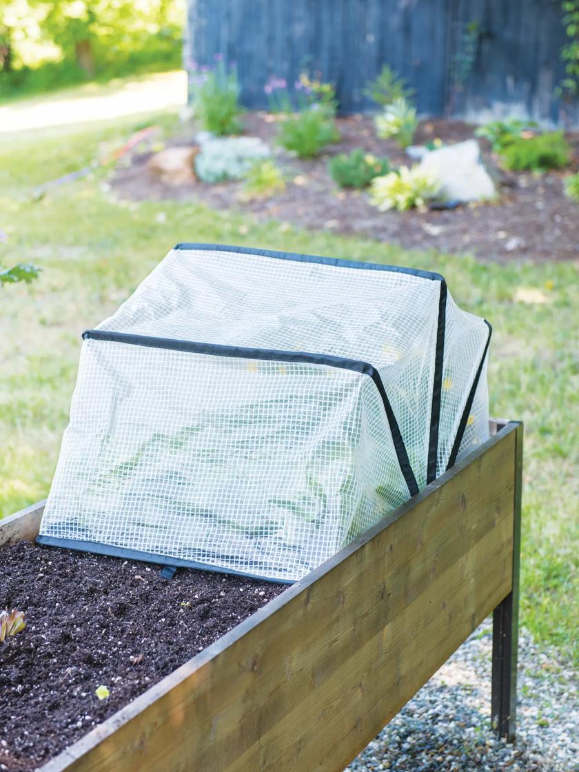 Plant Protectors & Row Covers |   Pop-Up Crop Protector GARDEN SUPPLIES Plant Protectors & Row Covers