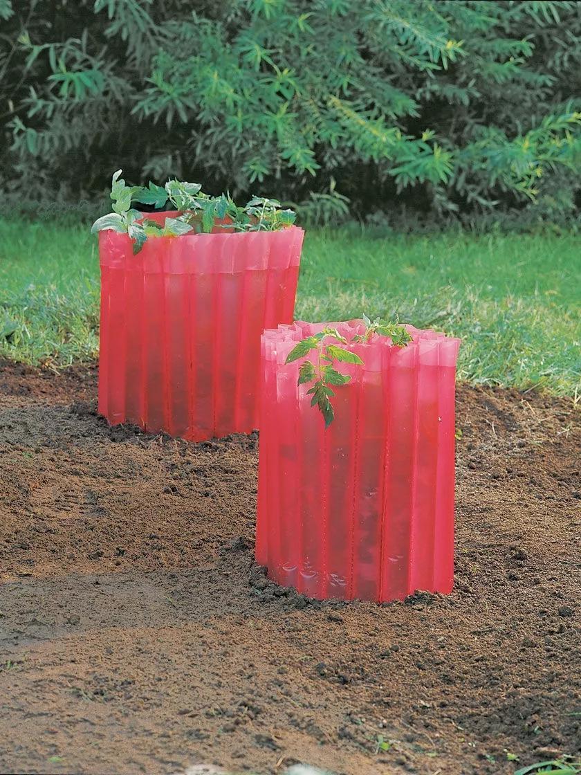 Plant Protectors & Row Covers |   Red Tomato Teepees, Set of 3 GARDEN SUPPLIES Plant Protectors & Row Covers