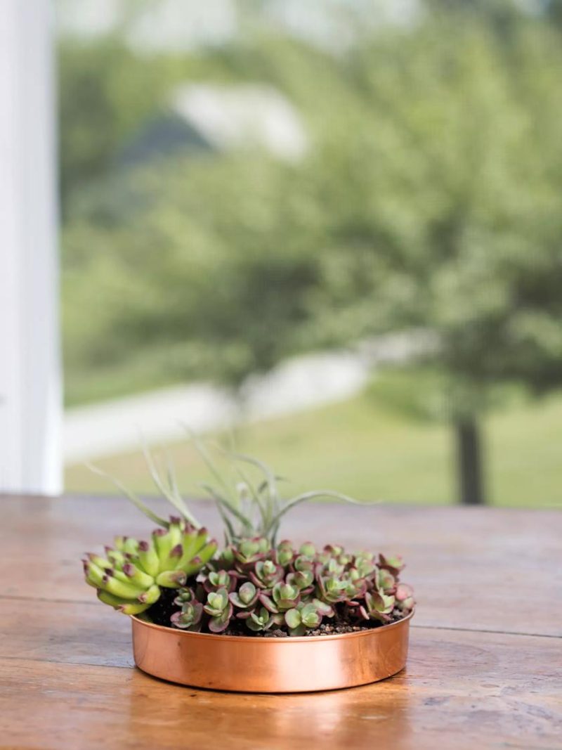 Plant Stand Trays |   Extra Small Round Copper Plant Tray, 8″ Plant Stand Trays Plant Stand Trays