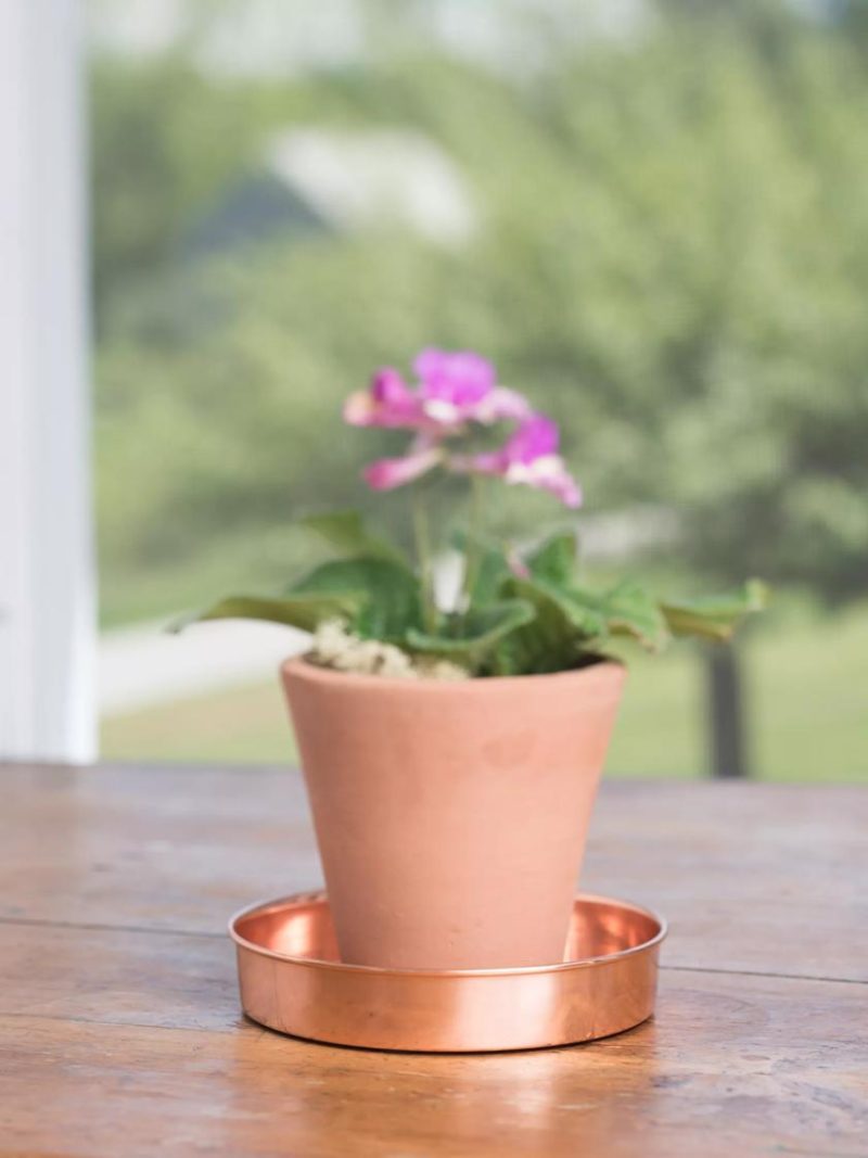 Plant Stand Trays |   Extra Small Round Copper Plant Tray, 8″ Plant Stand Trays Plant Stand Trays