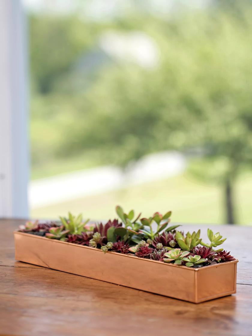 Plant Stand Trays |   Rectangular Copper Plant Tray, 18″x4″ Plant Stand Trays Plant Stand Trays