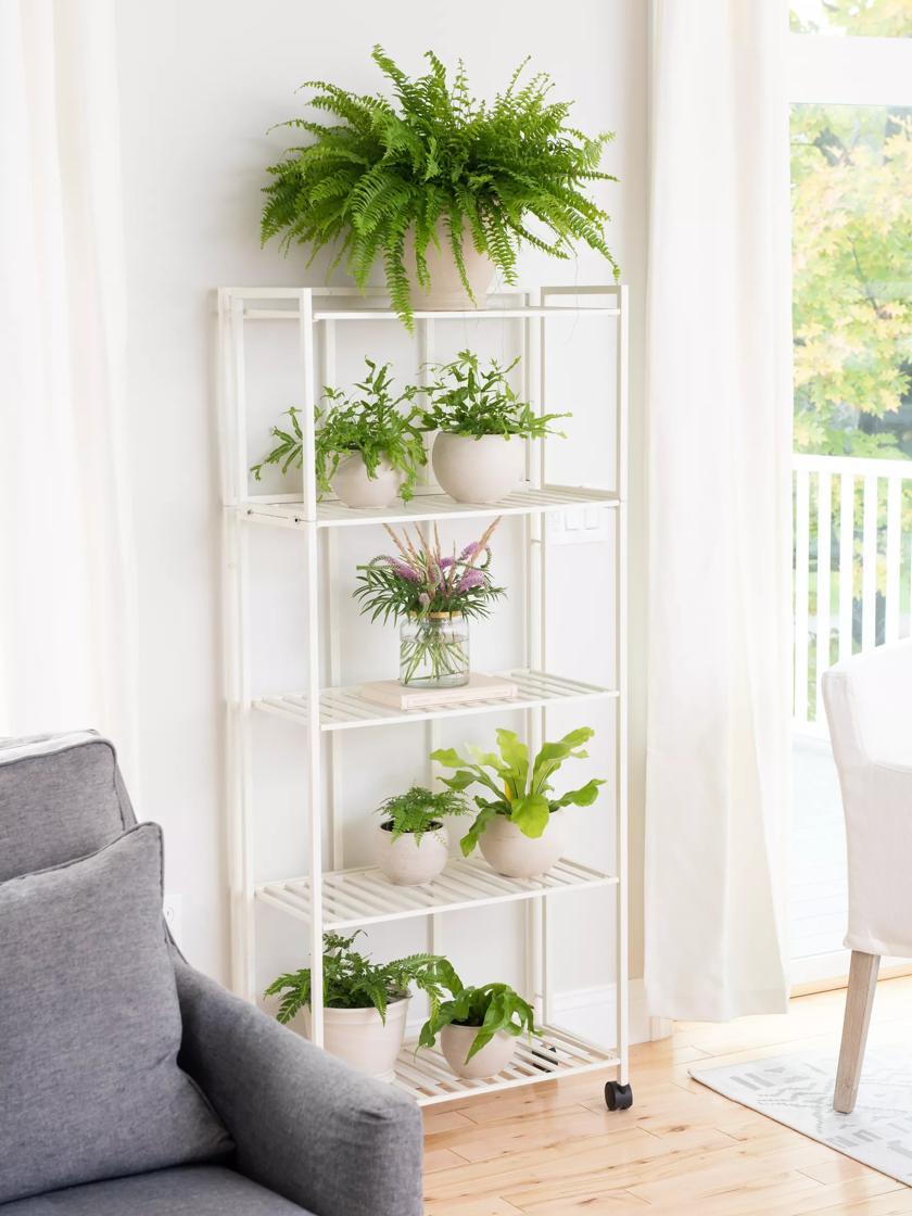 Plant Stands |   Oslo 4-Tier Plant Stand with Folding Shelves Plant Stands Plant Stands