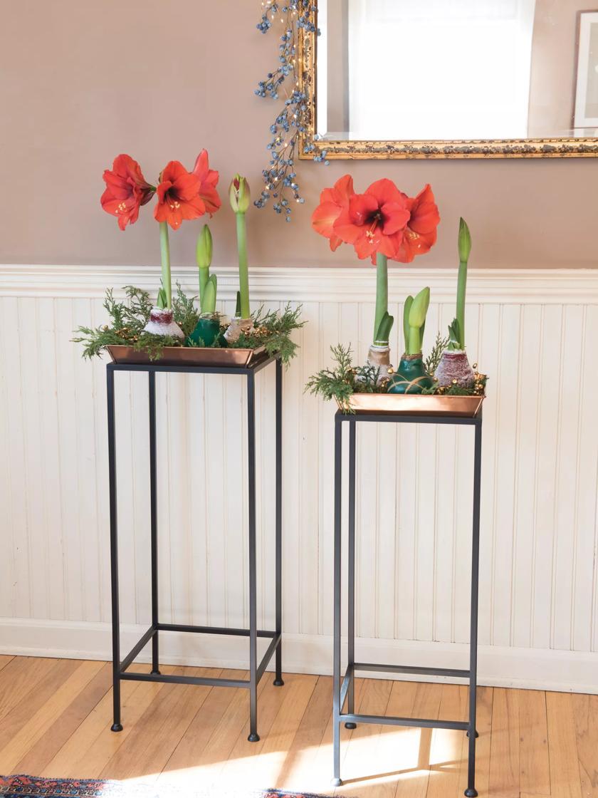 Plant Stands |   Square Nesting Plant Stands with Trays, Set of 2 Plant Stands Plant Stands