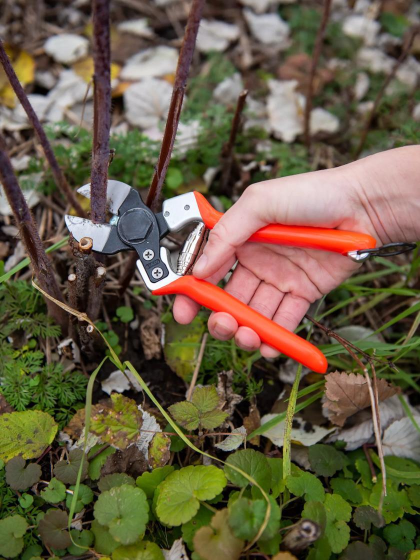 Pruners & Loppers |   Castellari B12 Double-Blade Pruner GARDEN SUPPLIES Pruners & Loppers