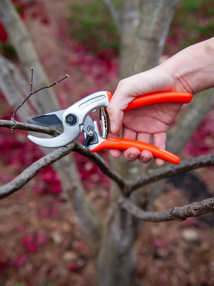 Pruners & Loppers |   Castellari Ergonomic Anvil Pruner GARDEN SUPPLIES Pruners & Loppers