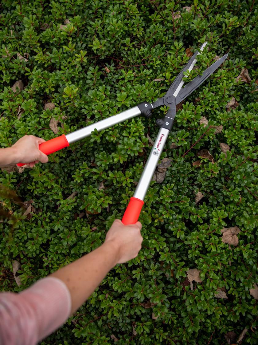 Pruners & Loppers |   Castellari Superior Gardening Shears GARDEN SUPPLIES Pruners & Loppers