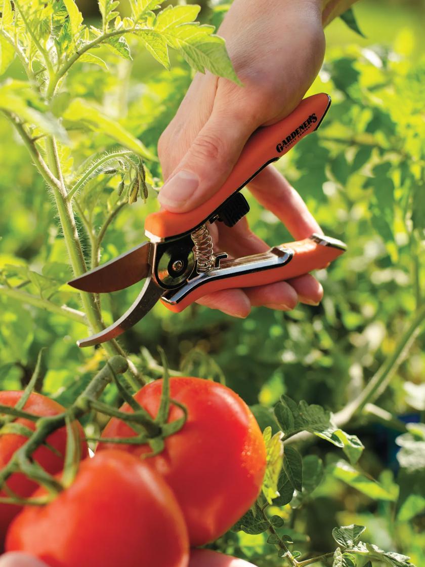 Pruners & Loppers |   Pocket Pruners GARDEN SUPPLIES Pruners & Loppers