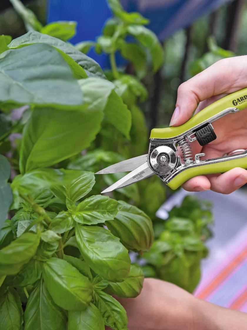 Pruners & Loppers |   Pocket Snips GARDEN SUPPLIES Pruners & Loppers