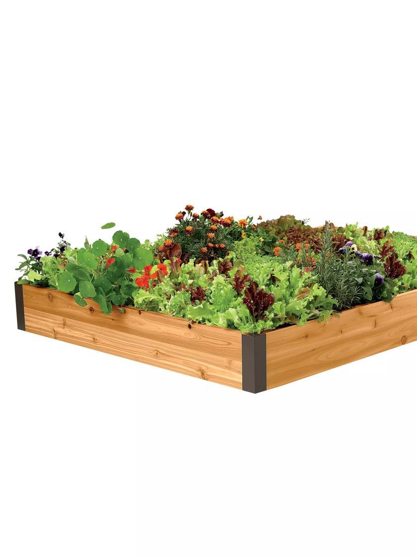 Raised Garden Beds |   Cedar Raised Beds, 4′ Wide (7.25″D) PLANTERS & RAISED BEDS Raised Garden Beds