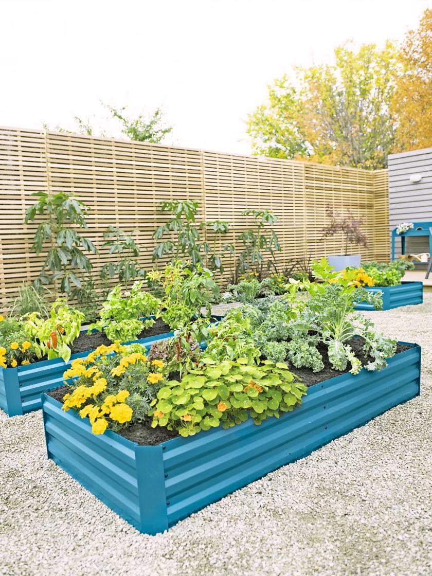 Raised Garden Beds |   Demeter Corrugated Metal Raised Bed, 34″ x 68″ (12″ D) PLANTERS & RAISED BEDS Raised Garden Beds