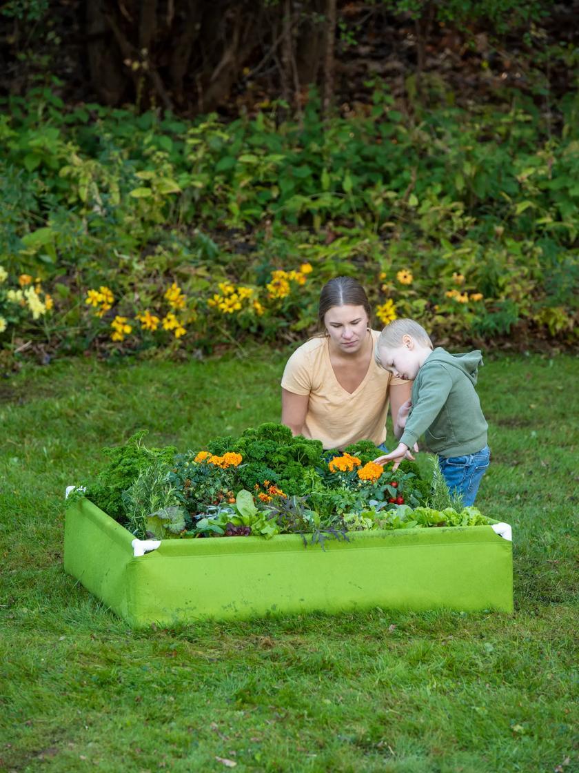 Raised Garden Beds |   Framed Fabric Raised Bed, 4’x4′ PLANTERS & RAISED BEDS Raised Garden Beds