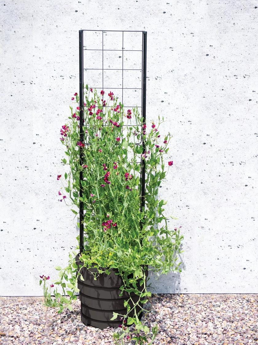 Self-Watering Planters |   Gardener’s Victory Self-Watering Planter with Vine Trellis PLANTERS & RAISED BEDS Self-Watering Planters