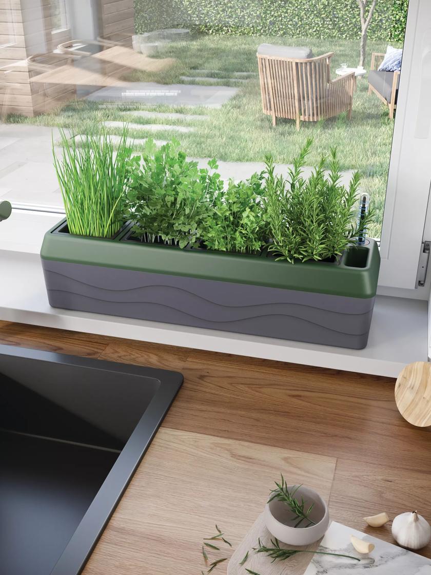 Self-Watering Planters |   Provence Self-Watering Herb Planter PLANTERS & RAISED BEDS Self-Watering Planters