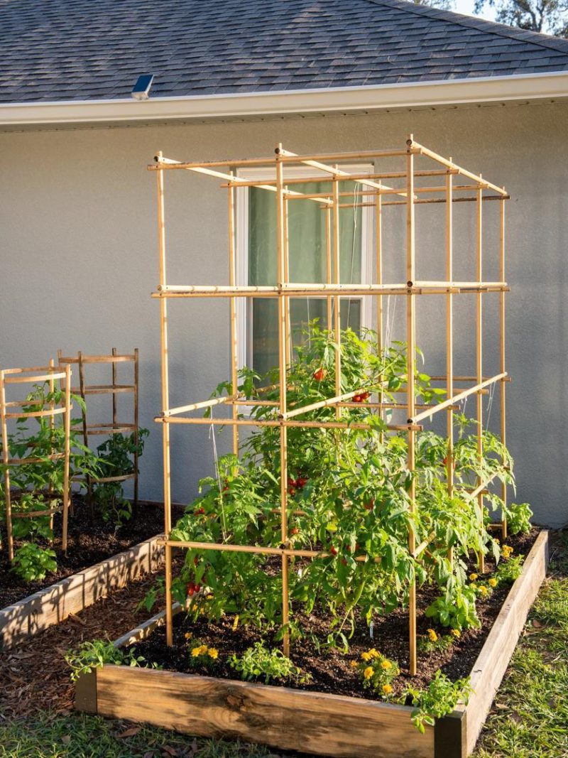 Tomato Cages & Supports |   Tomato Six Pack Support GARDEN SUPPLIES Tomato Cages & Supports