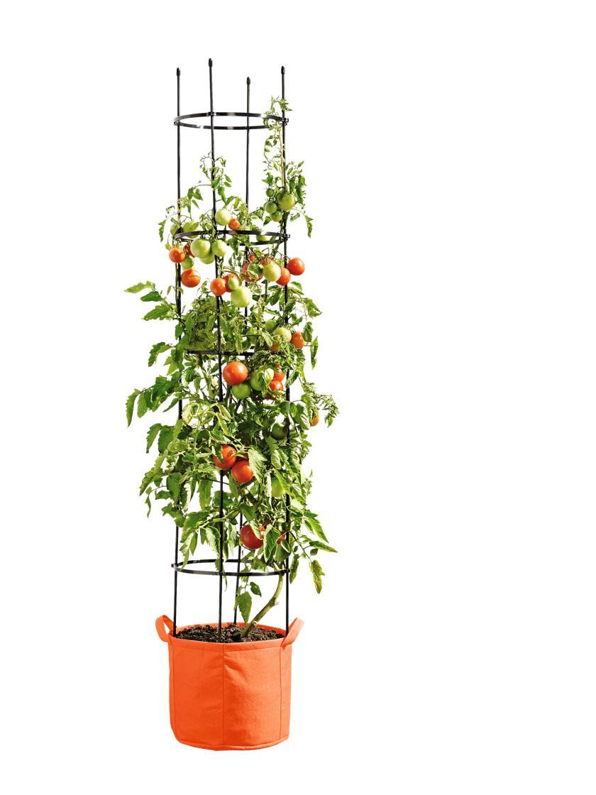 Tomato Planters |   Gardener’s Best® Tomato Grow Bag Set PLANTERS & RAISED BEDS Tomato Planters