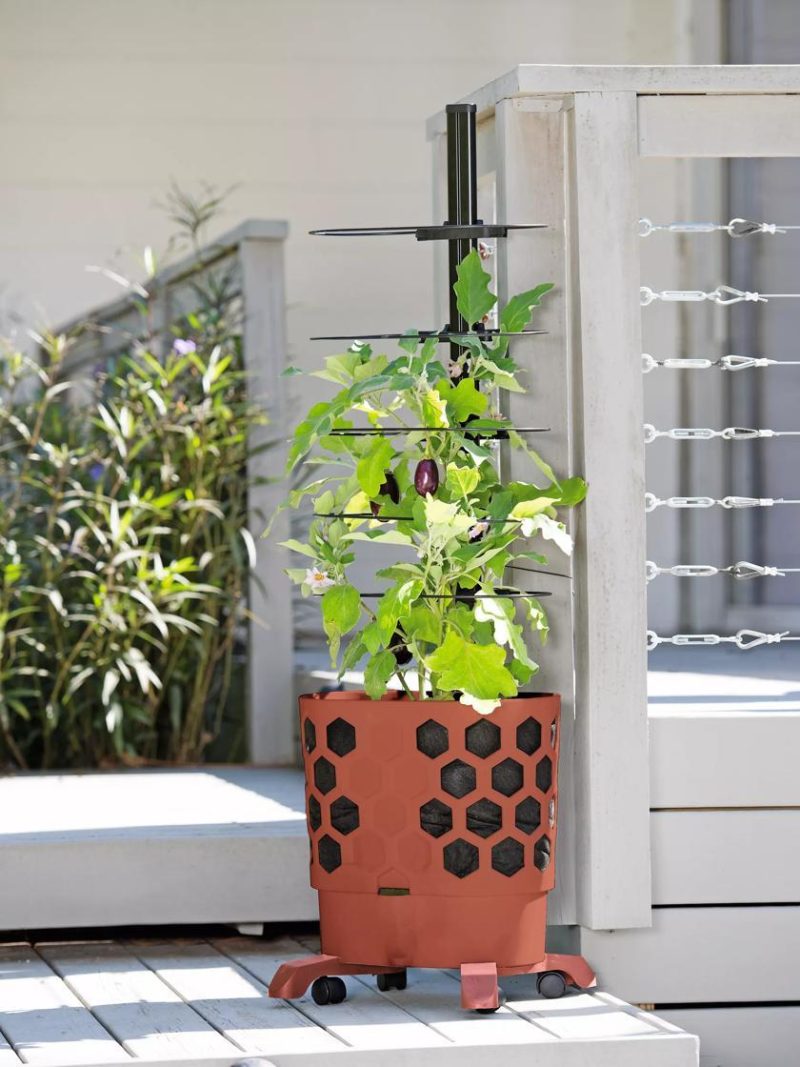 Tomato Planters |   Gardener’s Revolution® Tomato Planter PLANTERS & RAISED BEDS Tomato Planters