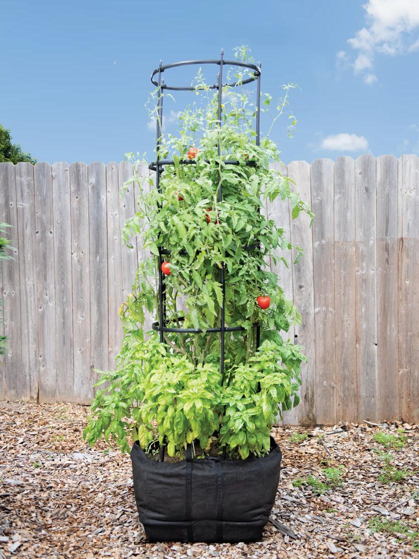 Tomato Planters |   Titan Tomato Self-Watering Grow Bag & Trellis PLANTERS & RAISED BEDS Tomato Planters