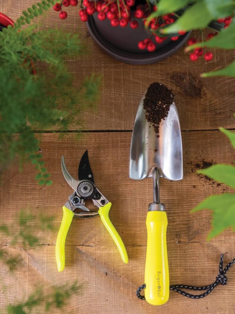 Trowels & Planting Tools |   Burgon & Ball Florabrite® Tool Set GARDEN SUPPLIES Trowels & Planting Tools