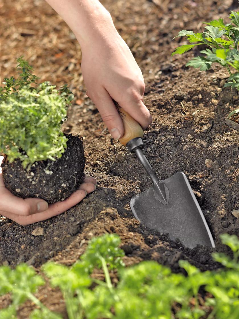 Trowels & Planting Tools |   Gardener’s Lifetime Trowel GARDEN SUPPLIES Trowels & Planting Tools