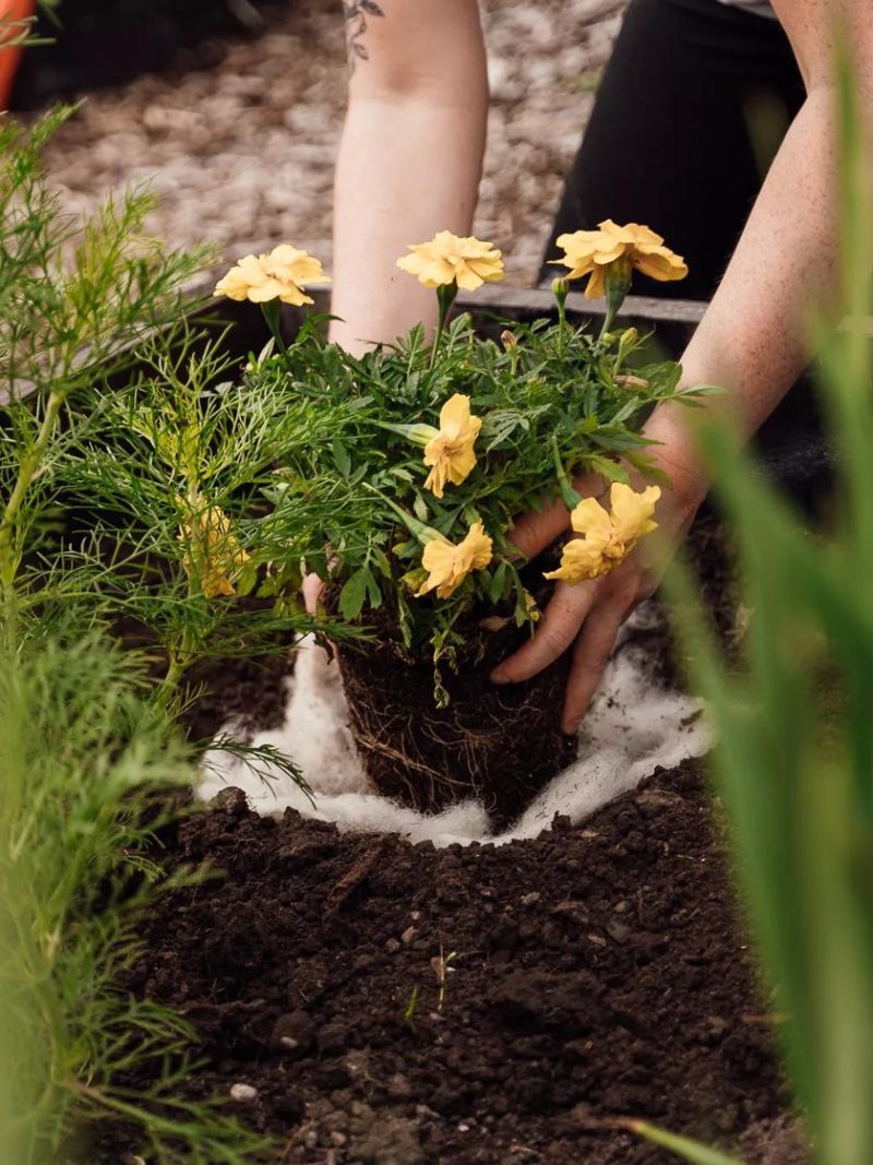 Trowels & Planting Tools |   Hortiwool ®, Starter Garden Pad GARDEN SUPPLIES Trowels & Planting Tools